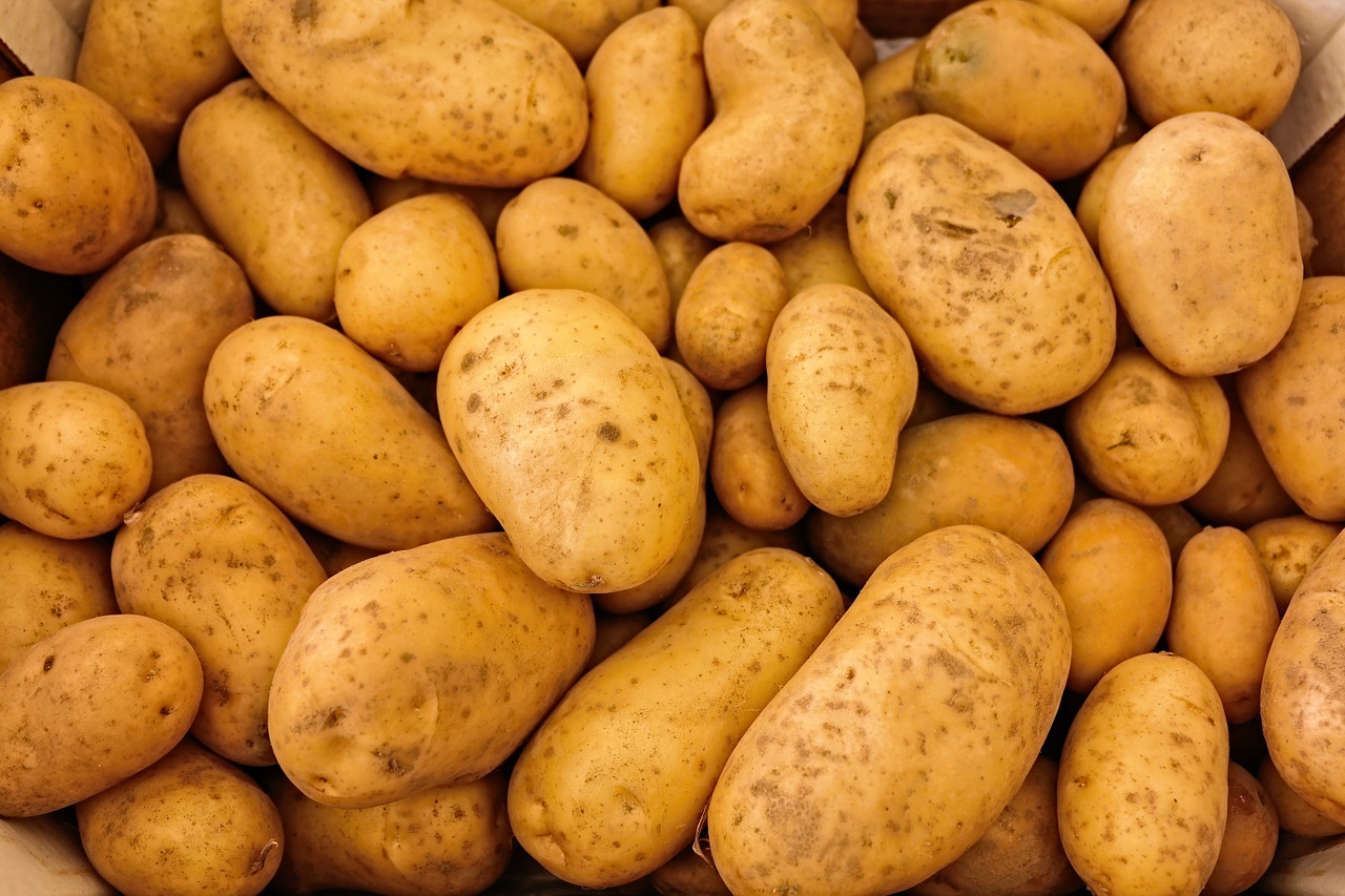 Packaging solutions for potatoes 