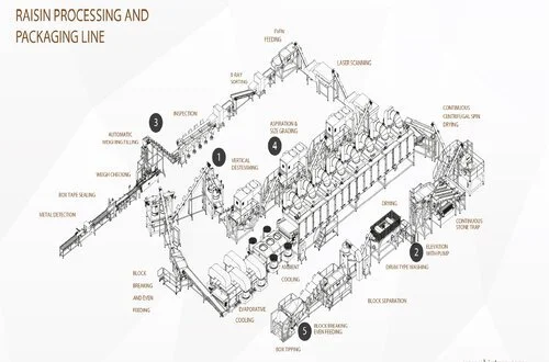 Raisin Processing Line
