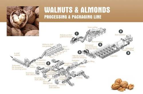 Almond Processing Line