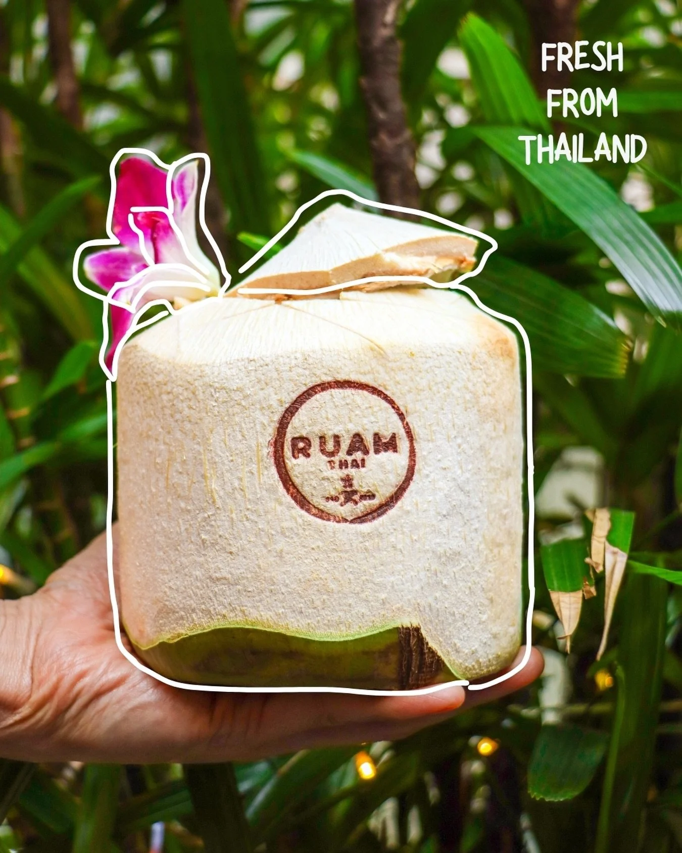 Freshness, Delivered Daily 🥥✨

We don&rsquo;t compromise on freshness. Our coconuts travel from Thailand to Ruam every day to ensure every sip is as sweet as a Bangkok summer.

Watch our team prep them fresh to order&mdash;skilled with the blade, fi