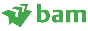 logo bam.jpeg