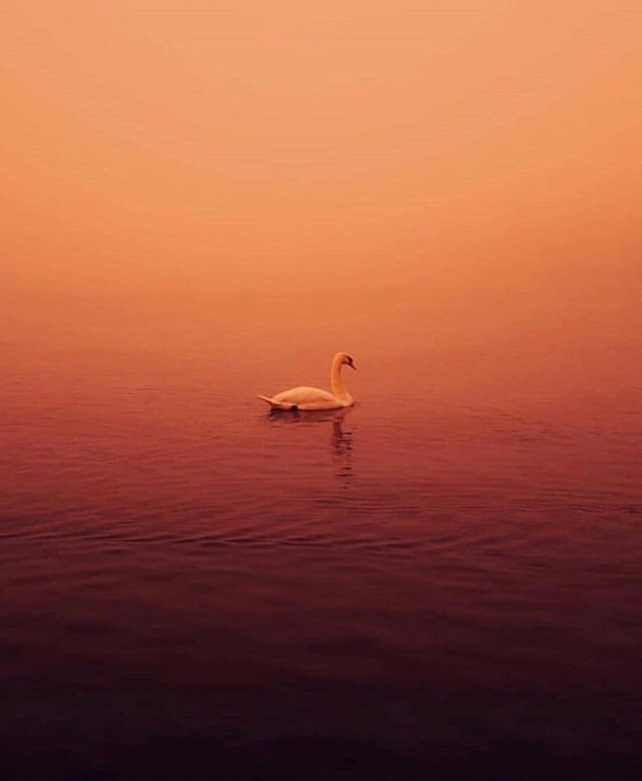 Intimacy with Life