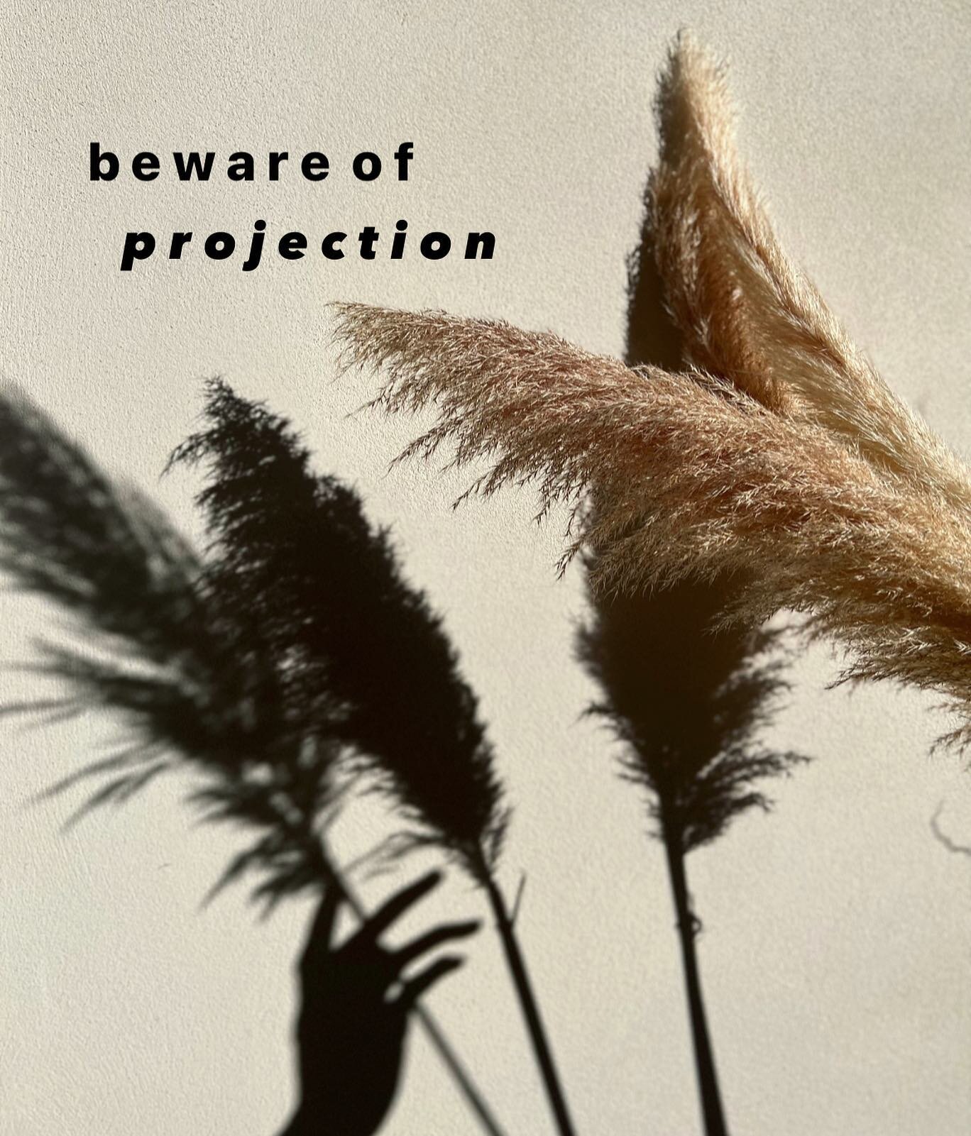 Beware of Projections 

Psychological Projection (def):
&ldquo;is the process of displacing one&rsquo;s feelings onto a different person, animal, or object.&rdquo; We misinterpret what is inside of us as coming from outside of us. This could be a pos