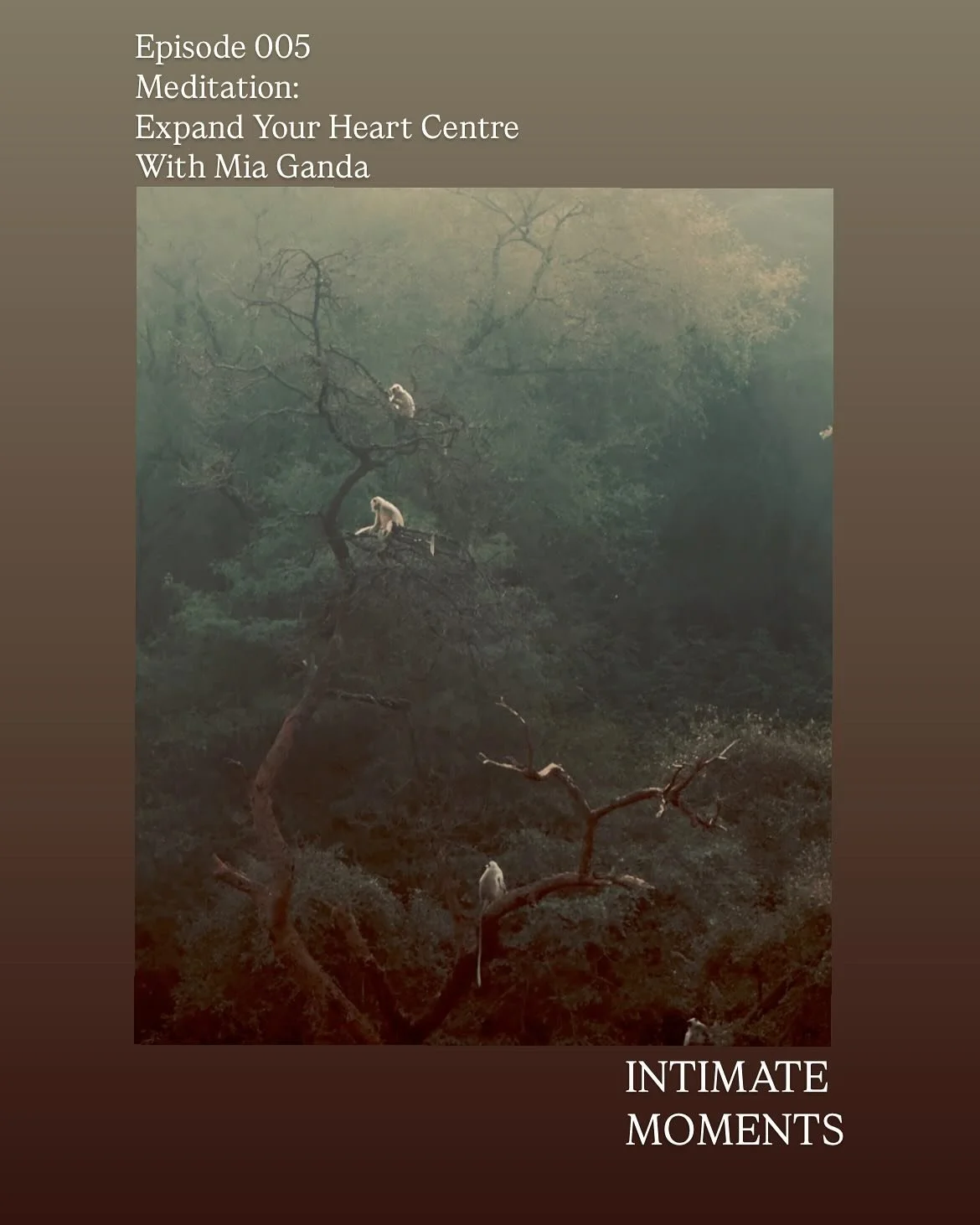 the quiet work of the heart 

In times of turbulence and collective intensity, the heart tends to close. We protect. We retreat. We judge. 
We distance ourselves, when the opposite is what would soothe.

Episode 005 of Intimate Moments is a gentle in