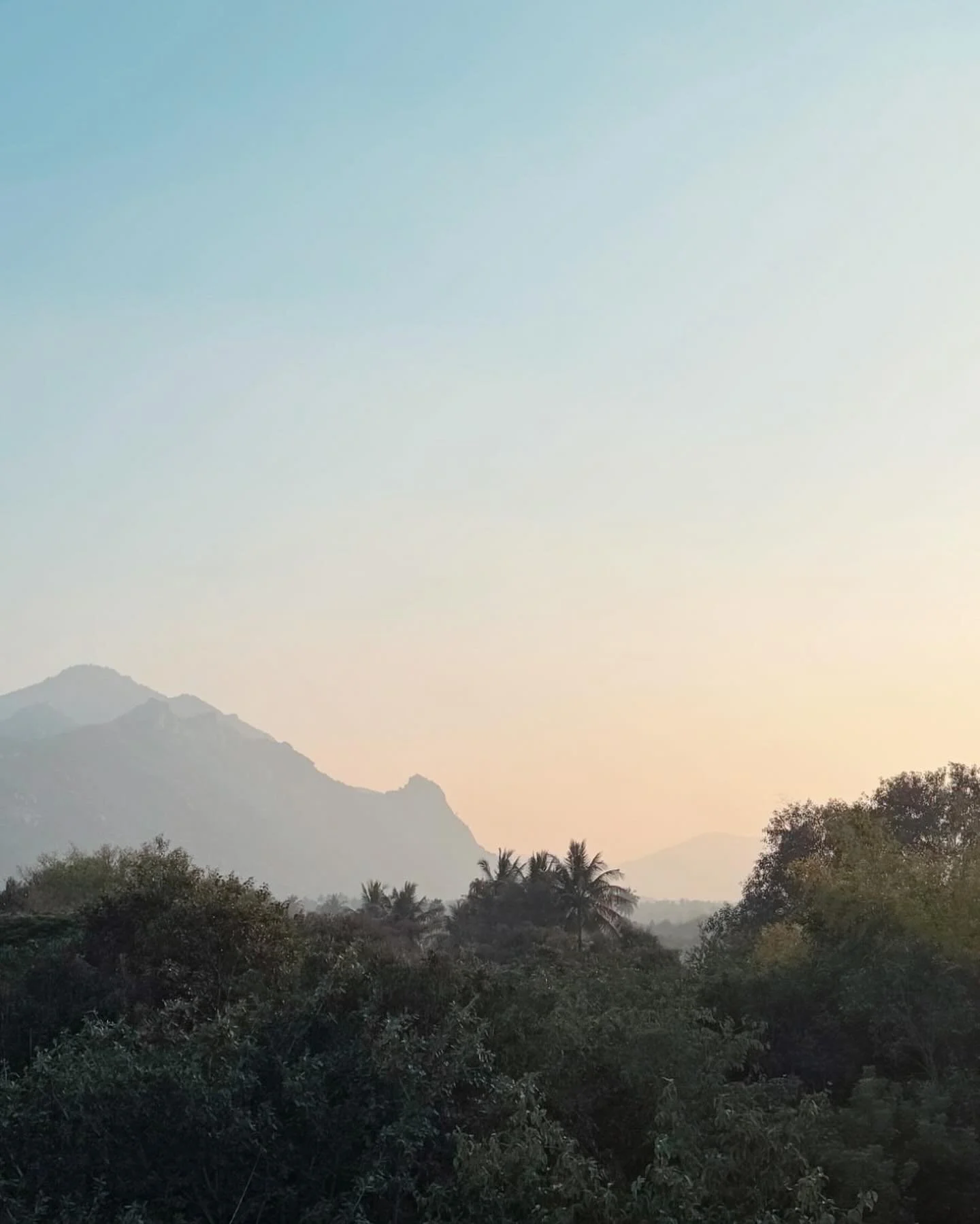 when we touch that part beyond identity and personality, even if only for a moment, it naturally follows that we re-recognise that truth in all things, all beings, all around us, and thus experience true intimacy with life. we can see with the heart 