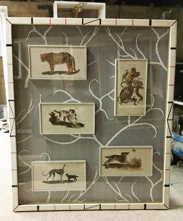 Engravings from a 19th Century natural history book framed individually within a large box frame - they are sitting on the late Min Hogg&rsquo;s &ldquo;Sea Antler Stripe&rdquo; wallpaper... #marcuswells #havilanddesigns #decorativeart #decorativearts