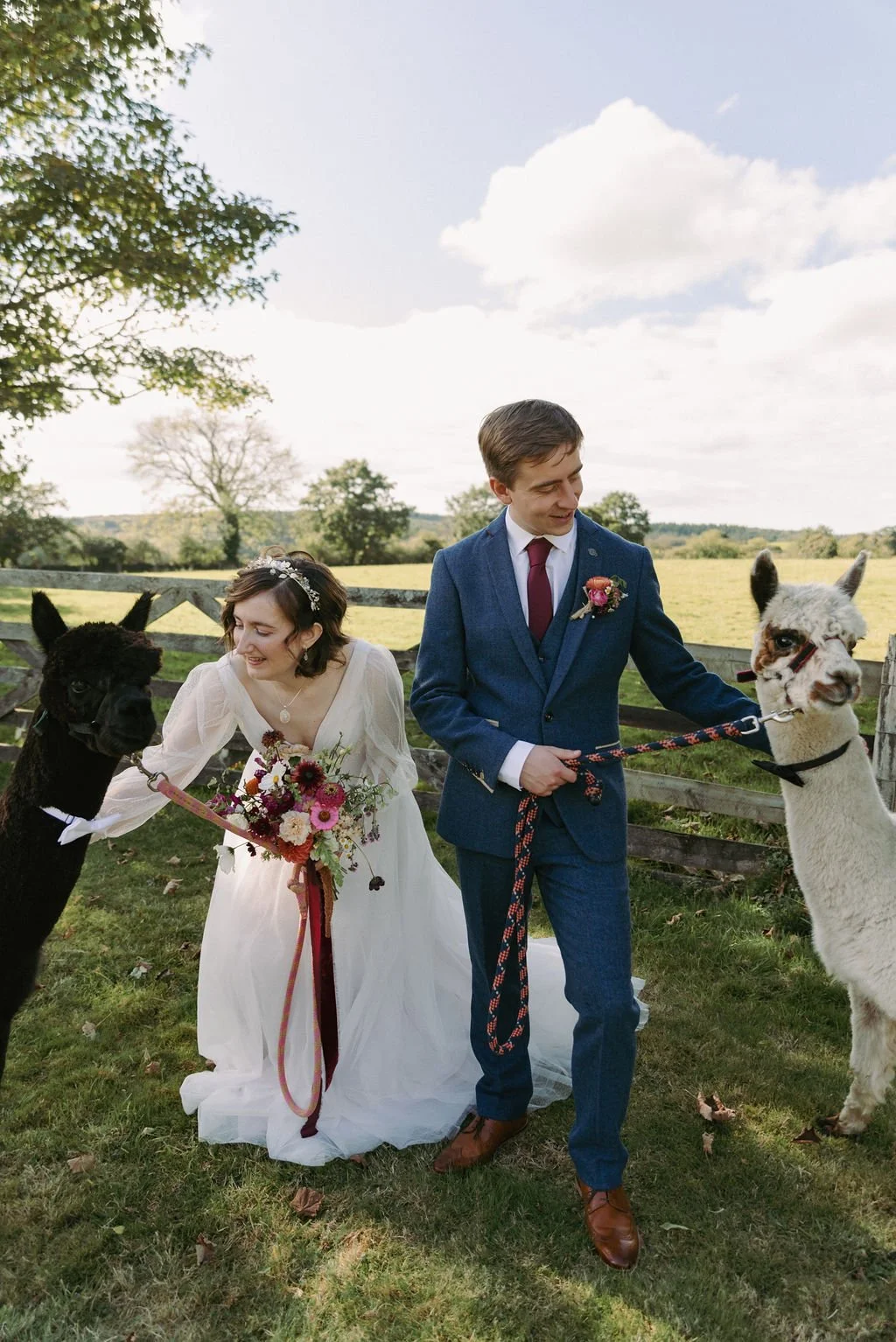 Bride and groom holding leashes attached to two alpacas outdoors on a sunny day, with a rustic wooden fence and green open field in the background.