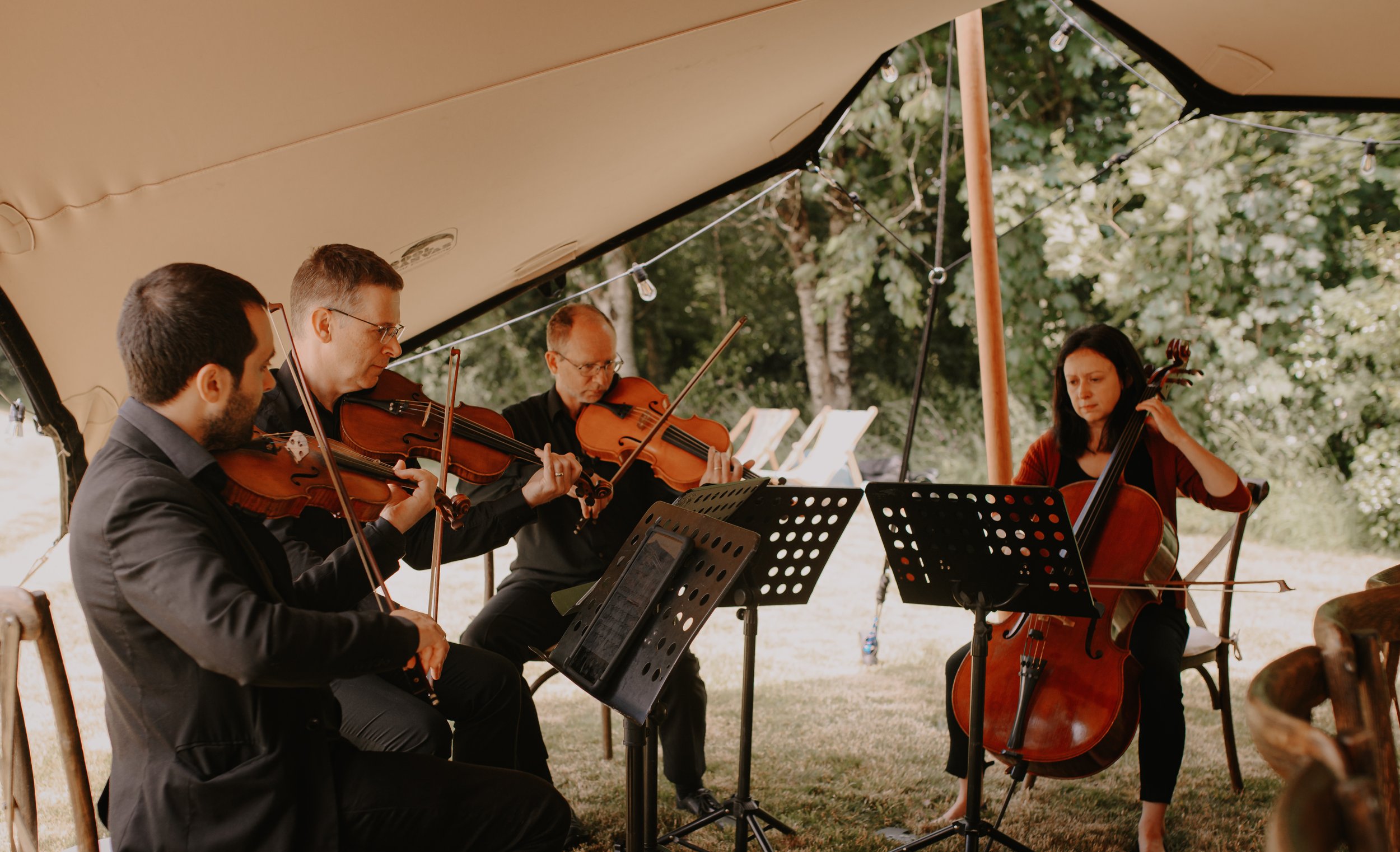 Four musicians playing string instruments inside a tent outdoors, with trees in the background.