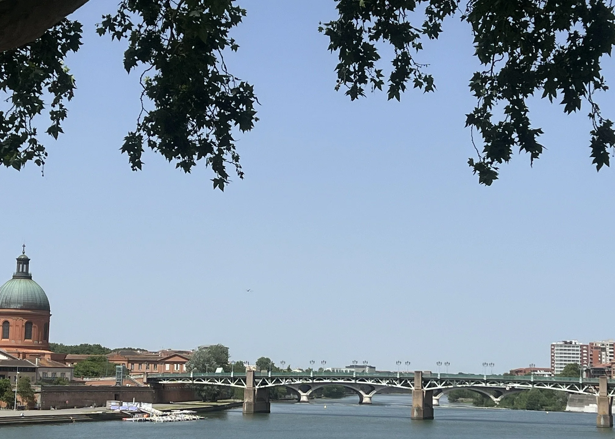 IMG_1422.jpeg