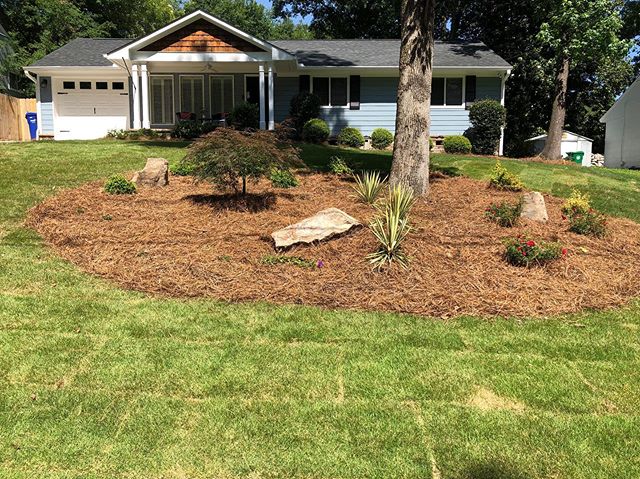 😍 During our consultation with this client, the goal was clear: this client was adamant about the need for more ✨Curb Appeal! ✨ ⠀
⠀
We truly 💚this project as it was a complete transformation from front to back. Literally!⠀
⠀
For the front:⠀
⠀
🌲Rem