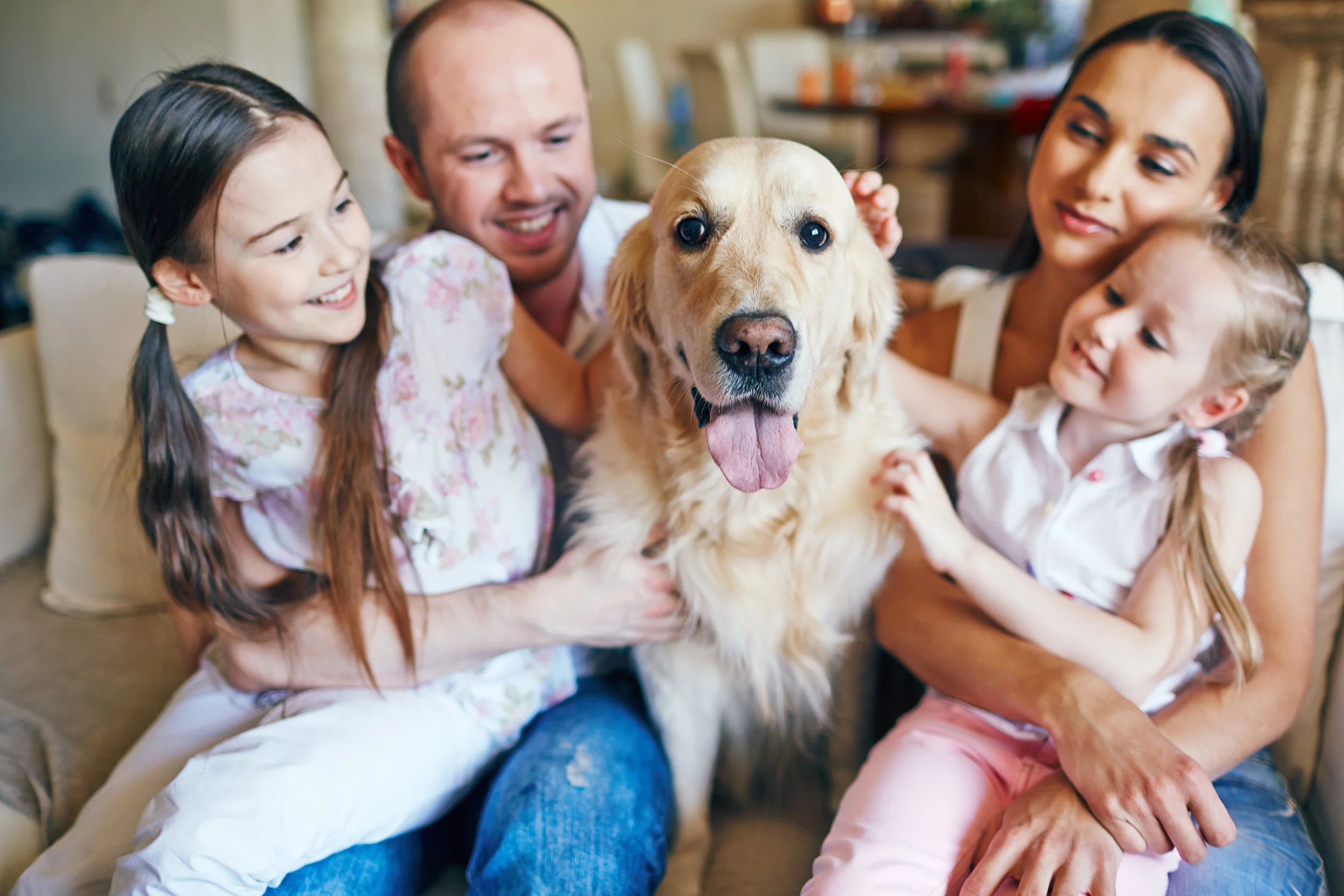 FamilyDog.jpeg