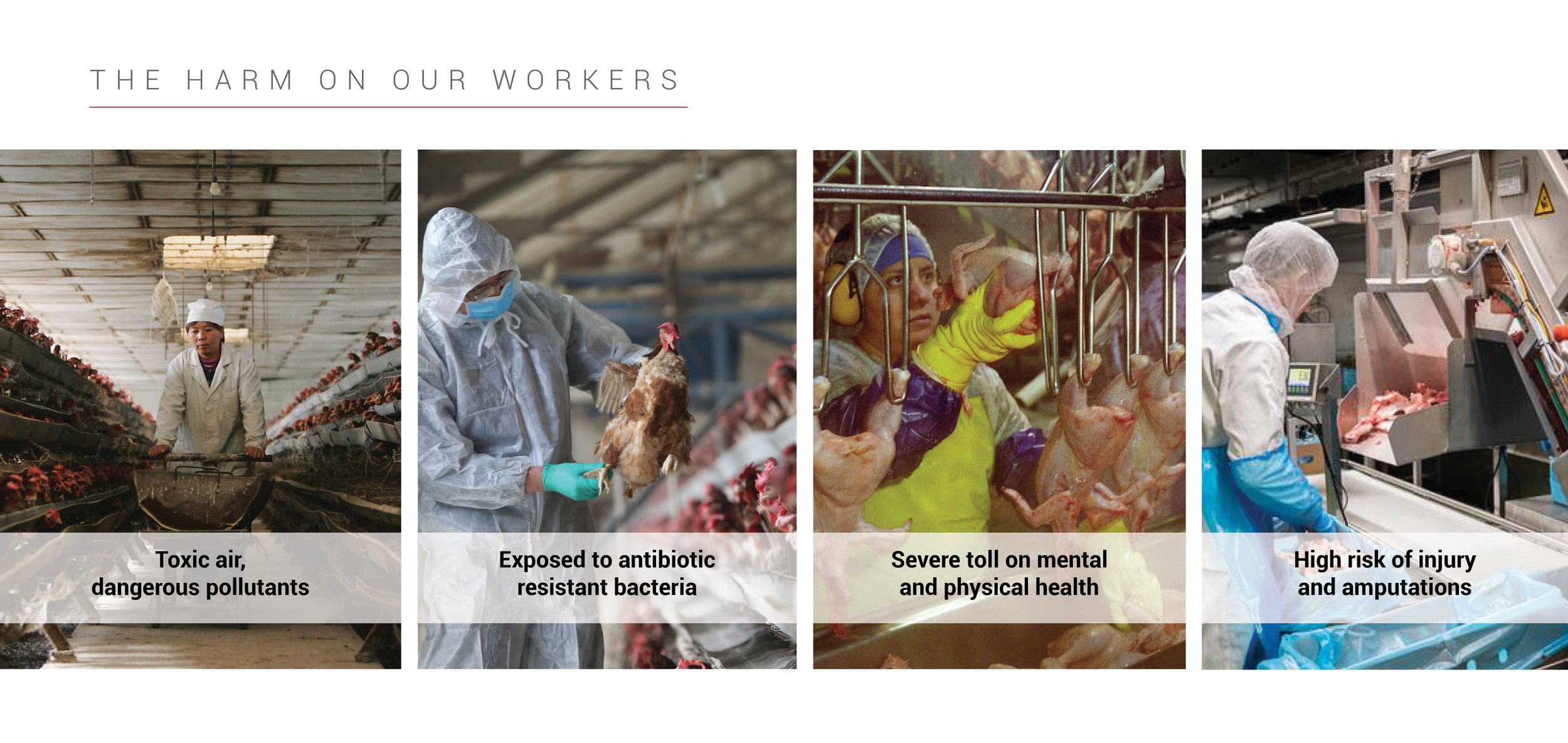 CULTURED  2021 PORTFOLIO REDO9.png