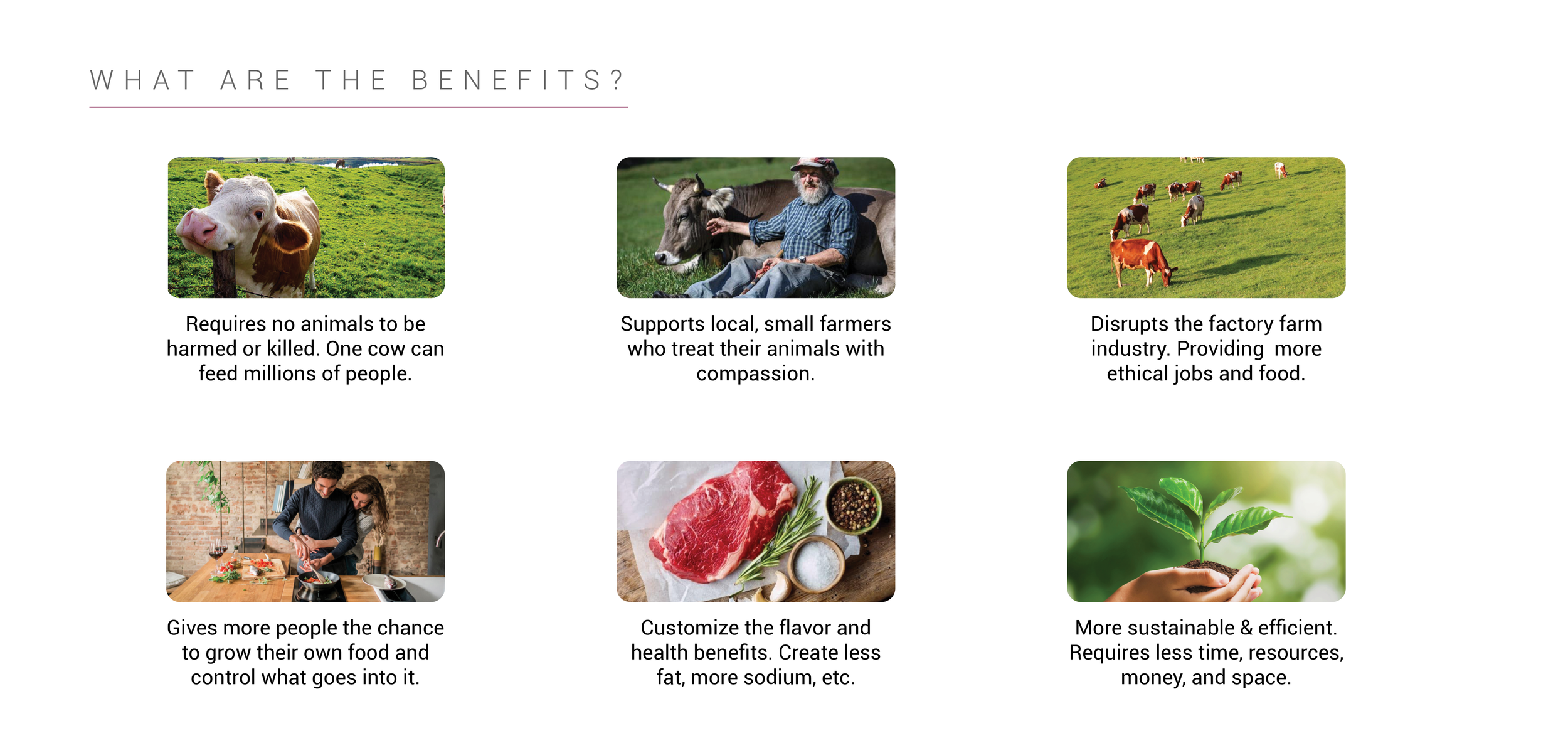 CULTURED  2021 PORTFOLIO REDO14.png