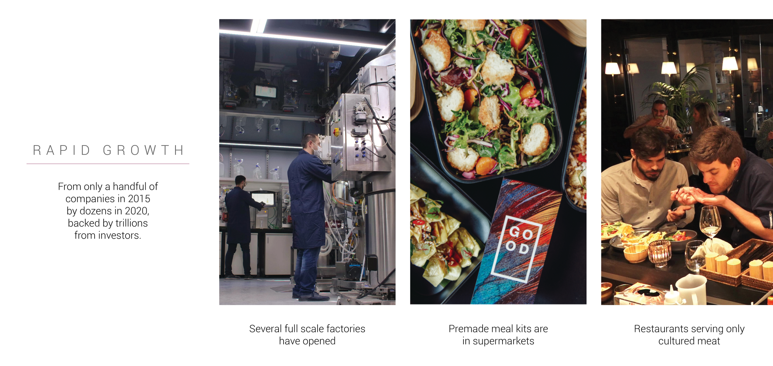 CULTURED  2021 PORTFOLIO REDO15.png