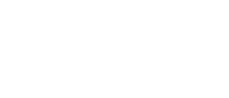 logo 3.png