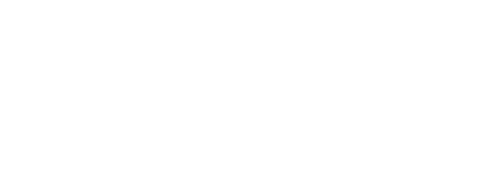 logo 1.png