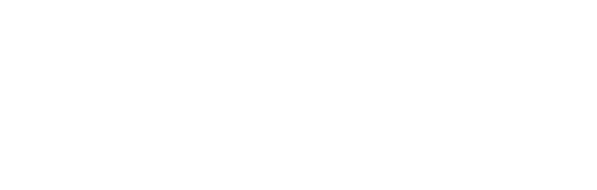 Professional Drone Pilot-logo-white.png