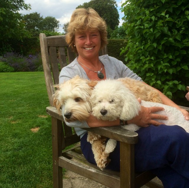 Julia, Dog Hotel &amp; Spa, Lincolnshire