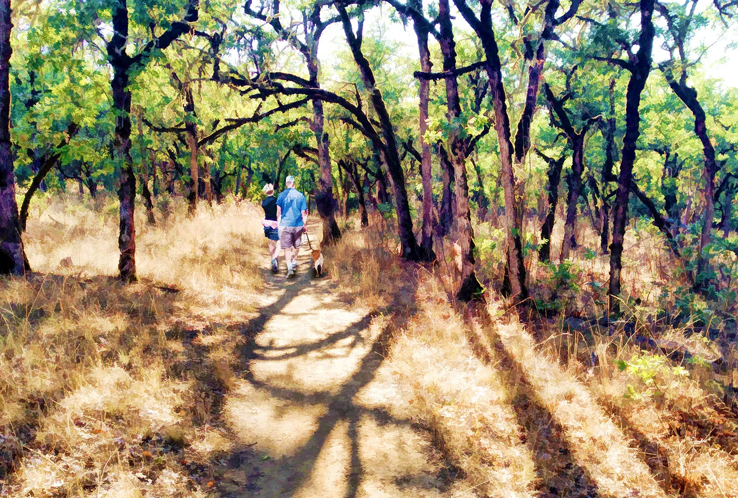 Jacksonville Woodlands