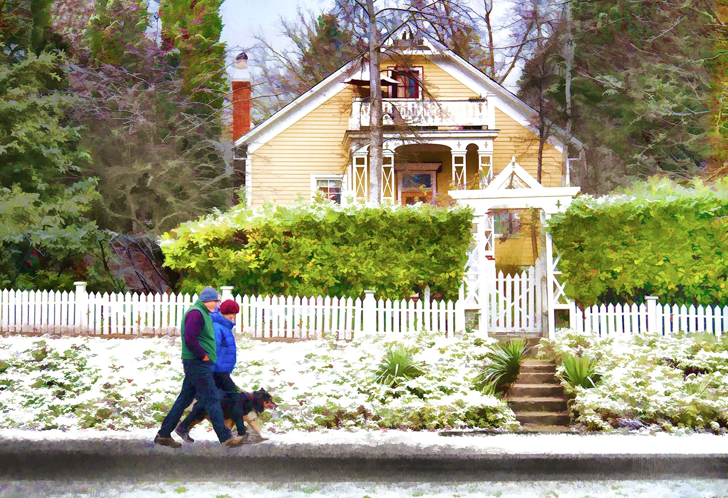 walking_dog_snow.jpg