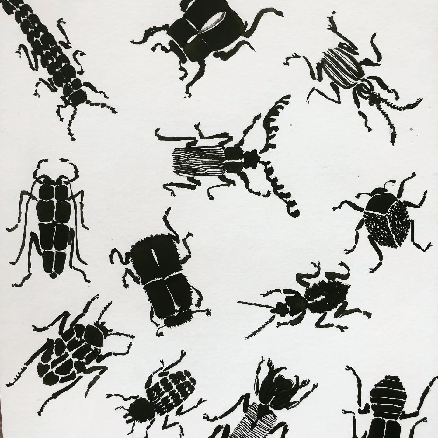 New things are cooking 🐞