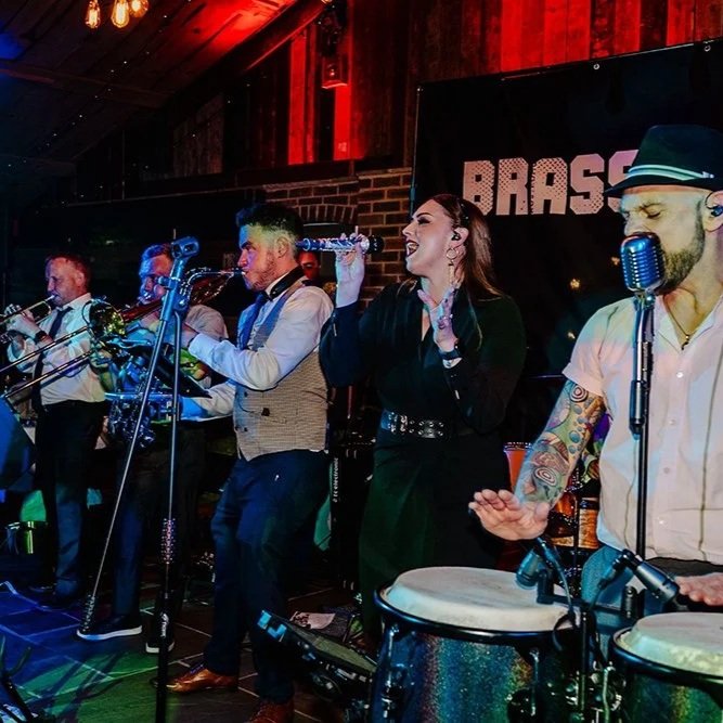 Brass Monkees