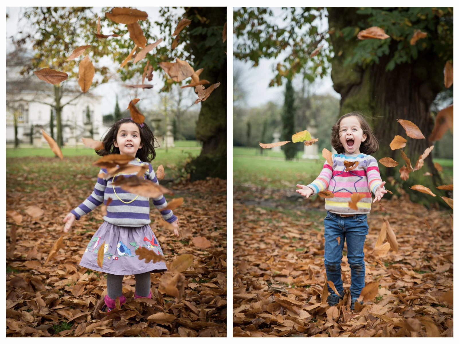 autumnyay.jpg