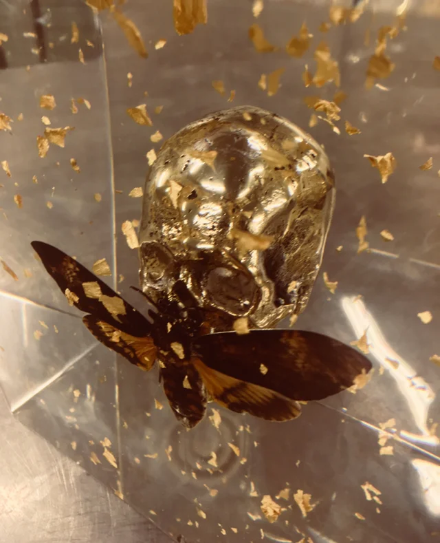 Alexandre NICOLAS  (FR)