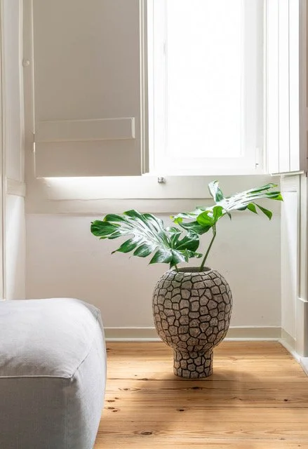 Edward SCHILLING (PT)