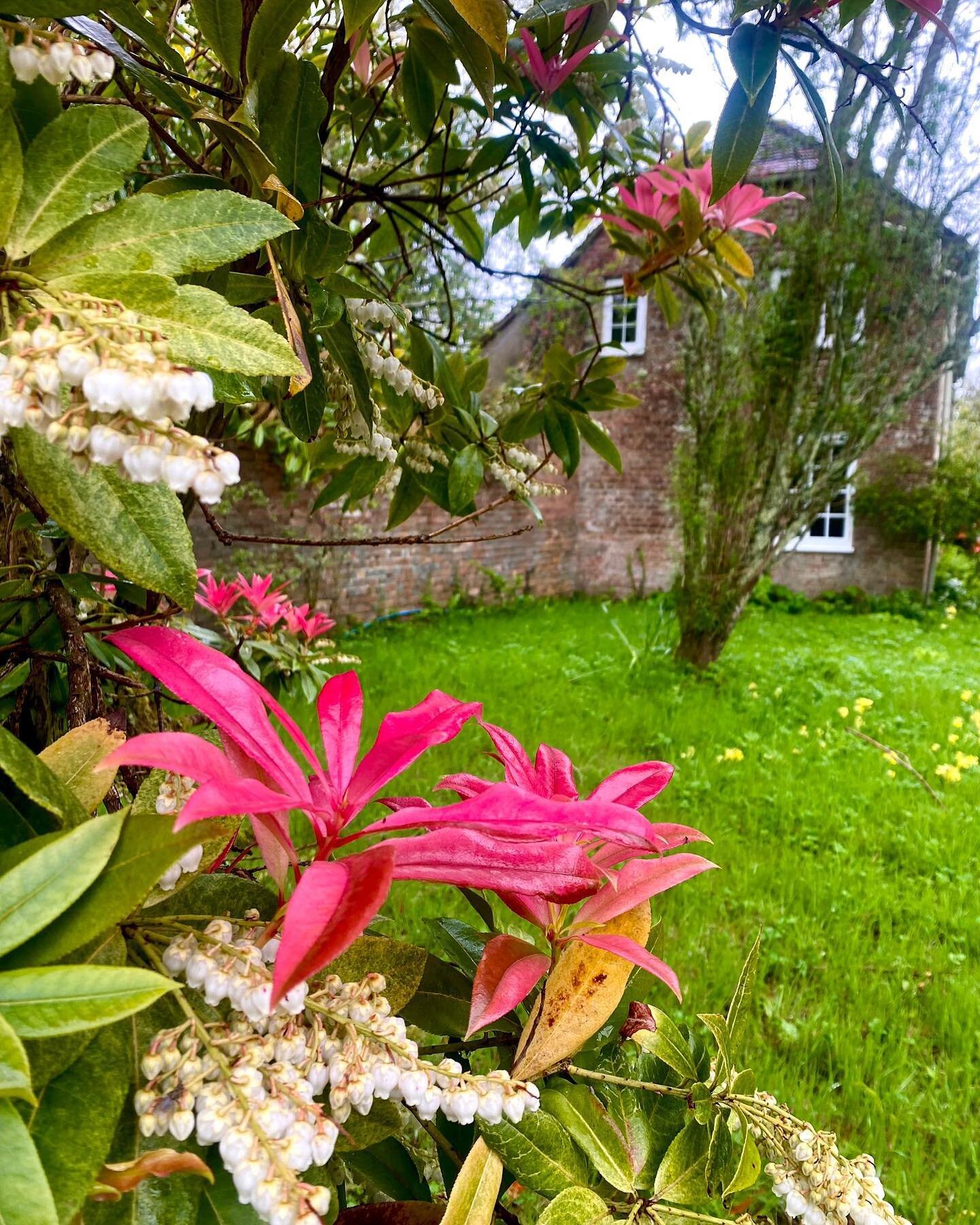 Escape to our treasured private retreat grounds and indulge your senses in the beauty of nature. Stroll through our enchanting growing apple orchard and breathe in the sweet spring air, surrounded by vibrant flowers that match the bright cushions in 