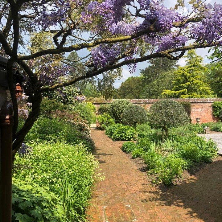 Pssst... our neighbouring Hinton Admiral House gardens will be opeing their gardens for public exploring tomorrow (9am-1pm). 🌺
Mother nature has put on a beautiful display for this once a year event 👏 

There will be an array of icecream, cakes, an