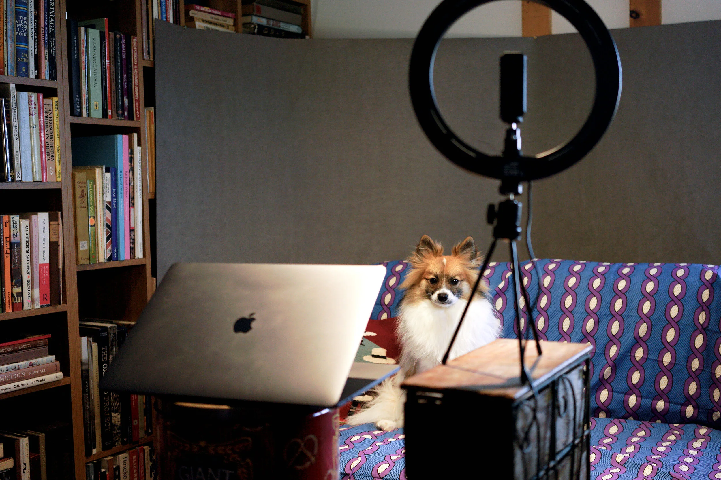 Enhanced Media Shade