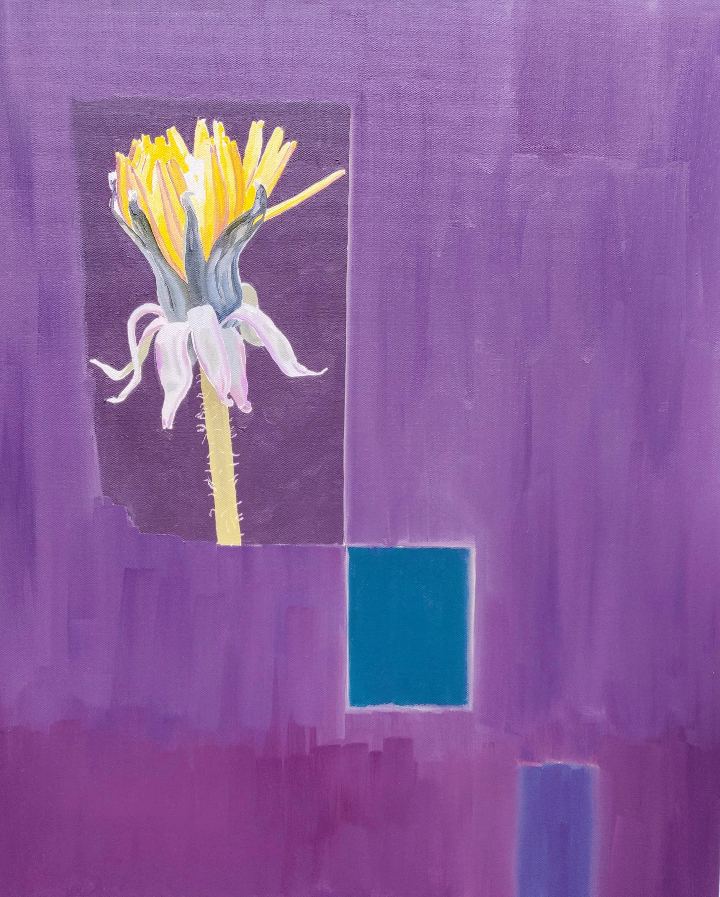  Dandelion / Dant y llew 