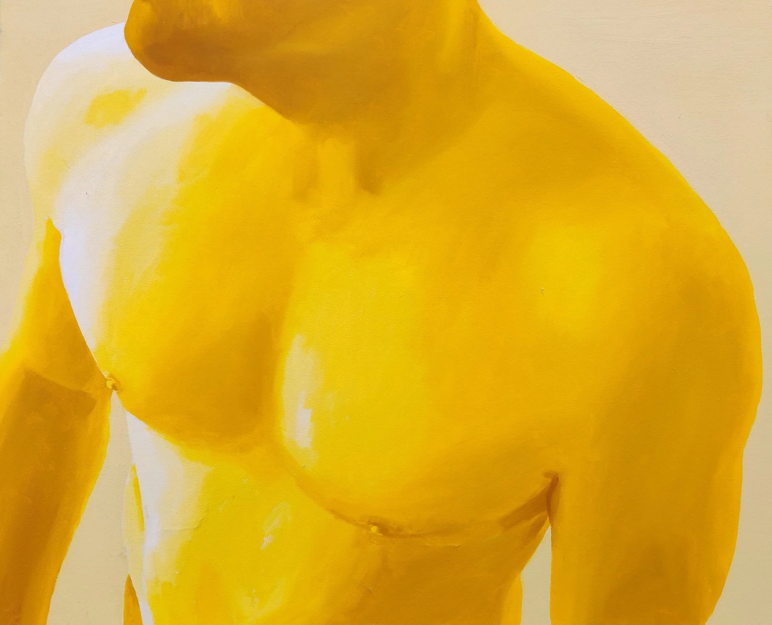  Yellow torso / Torso melyn 