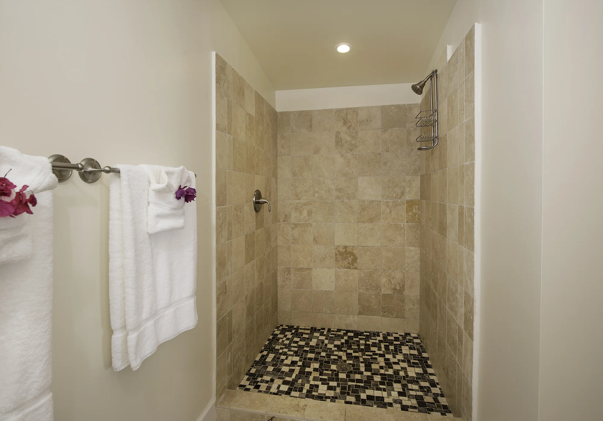 master-shower.jpg