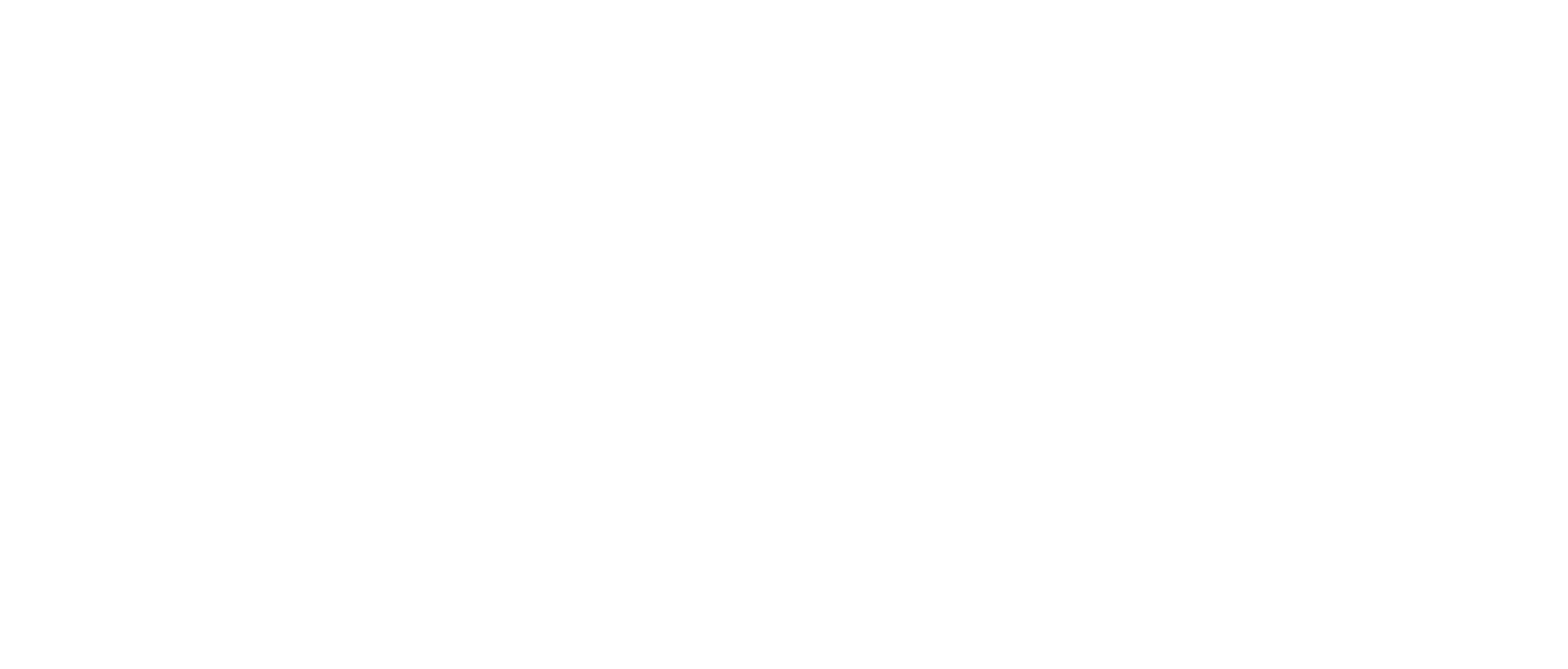 Element Capital