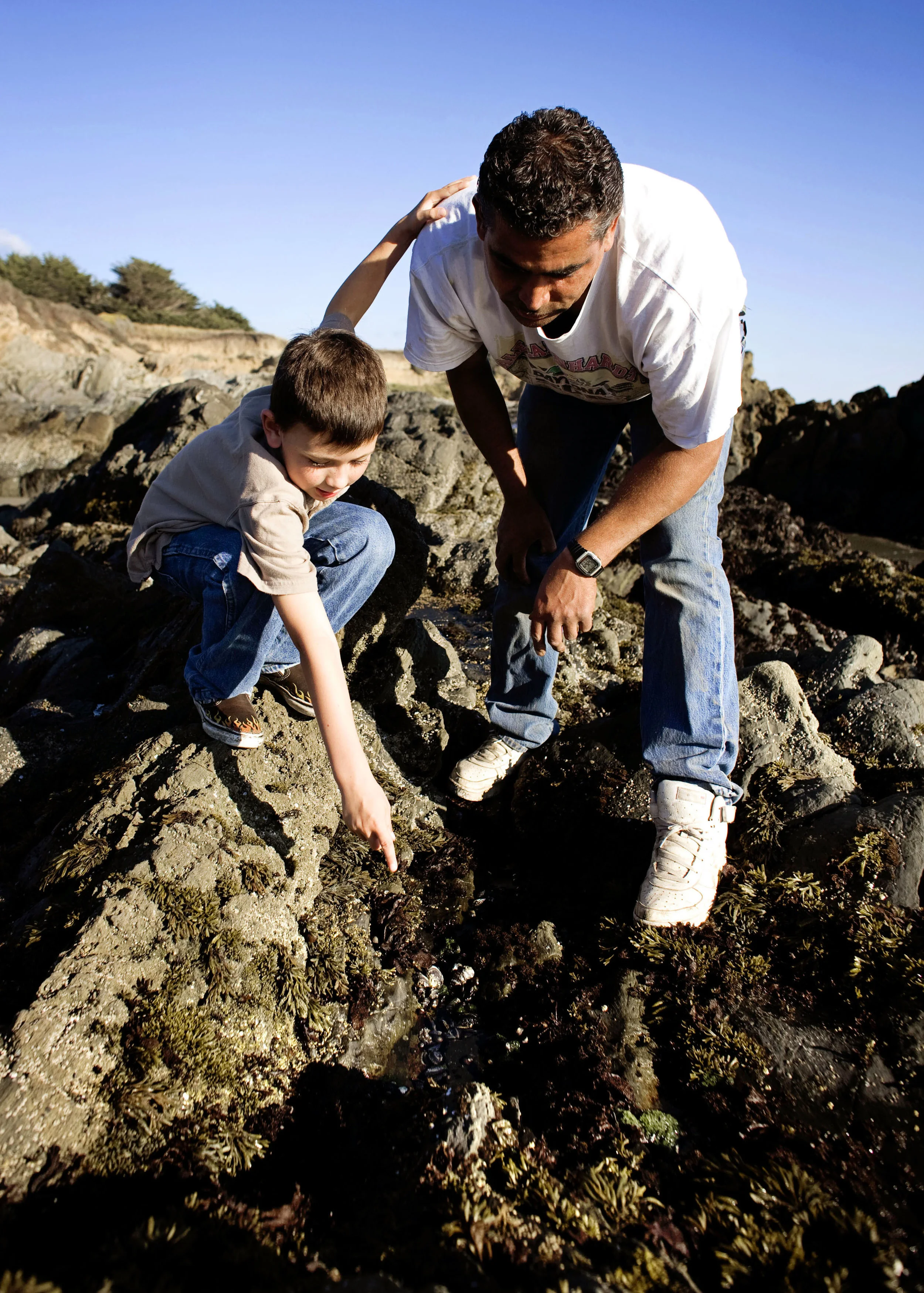 Sea_Ranch122.jpg