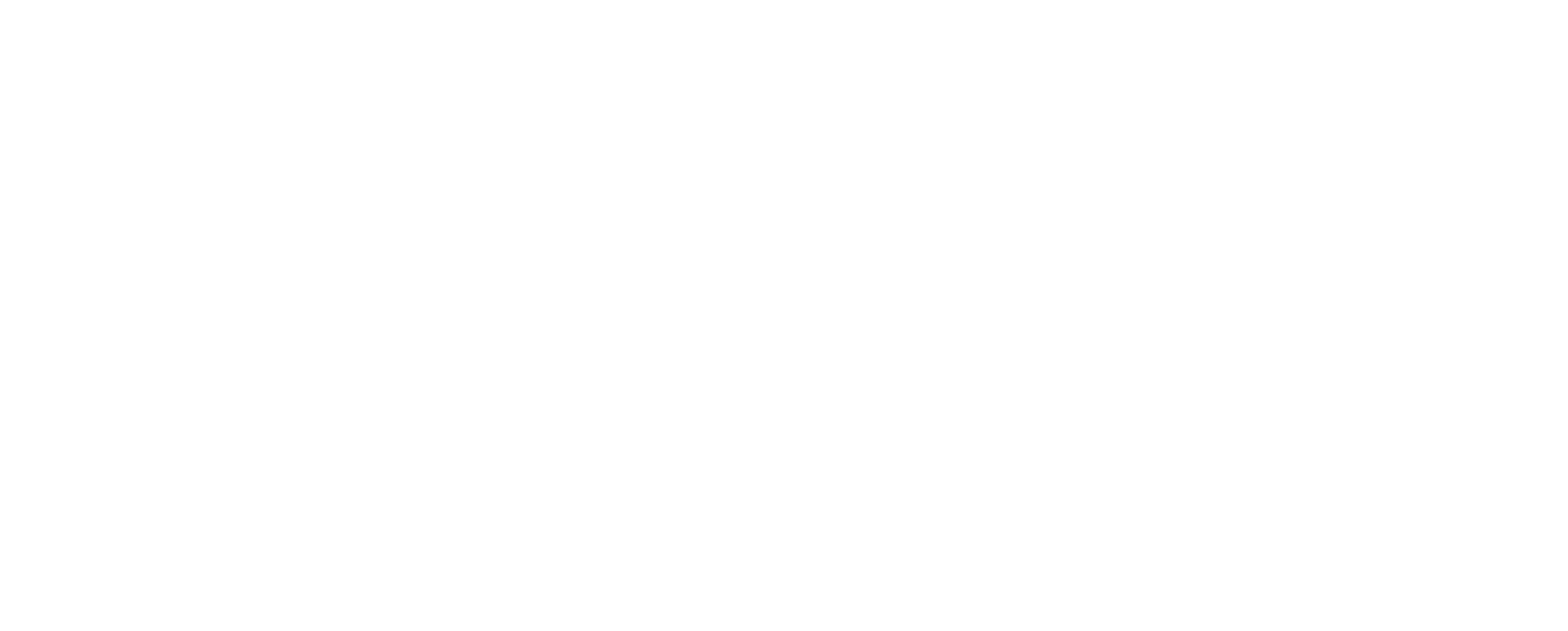 Polar_Logo_wht (1) copy.png
