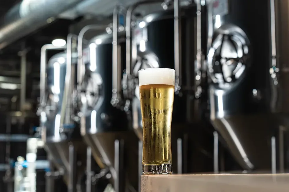 St. Louis beer earns four nods in 2026 USA Today 10Best Awards