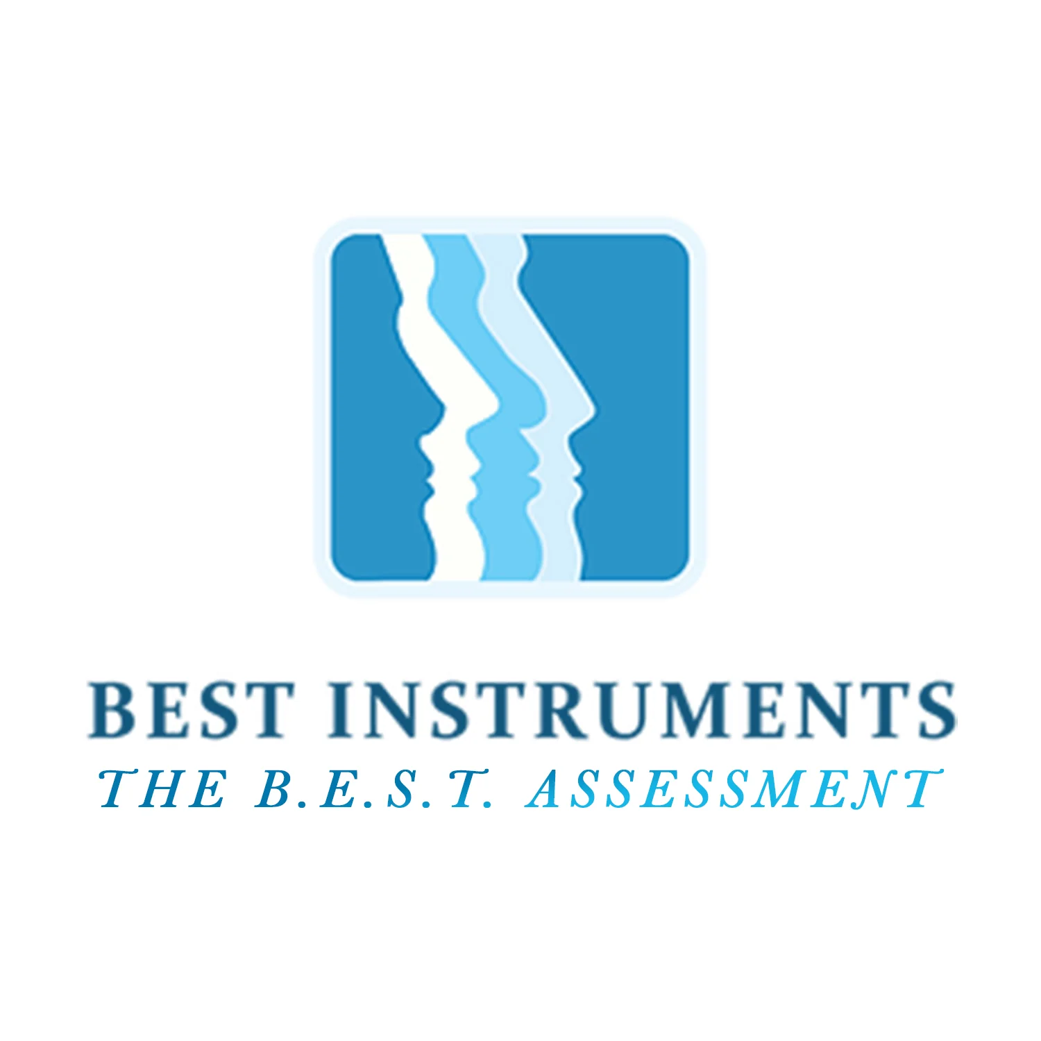 The B.E.S.T. Assessment 