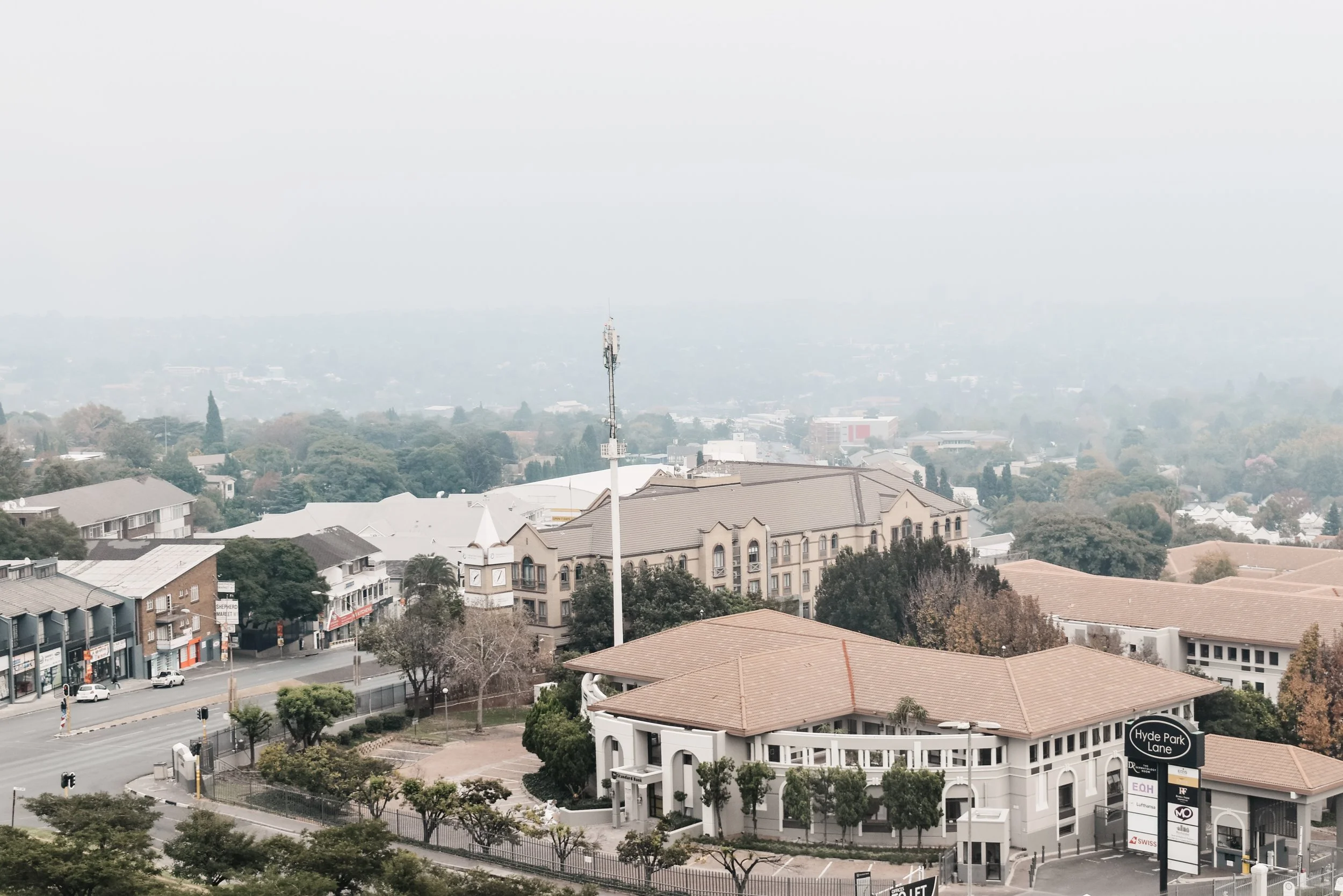 Soweto and Strawberry Daquiris