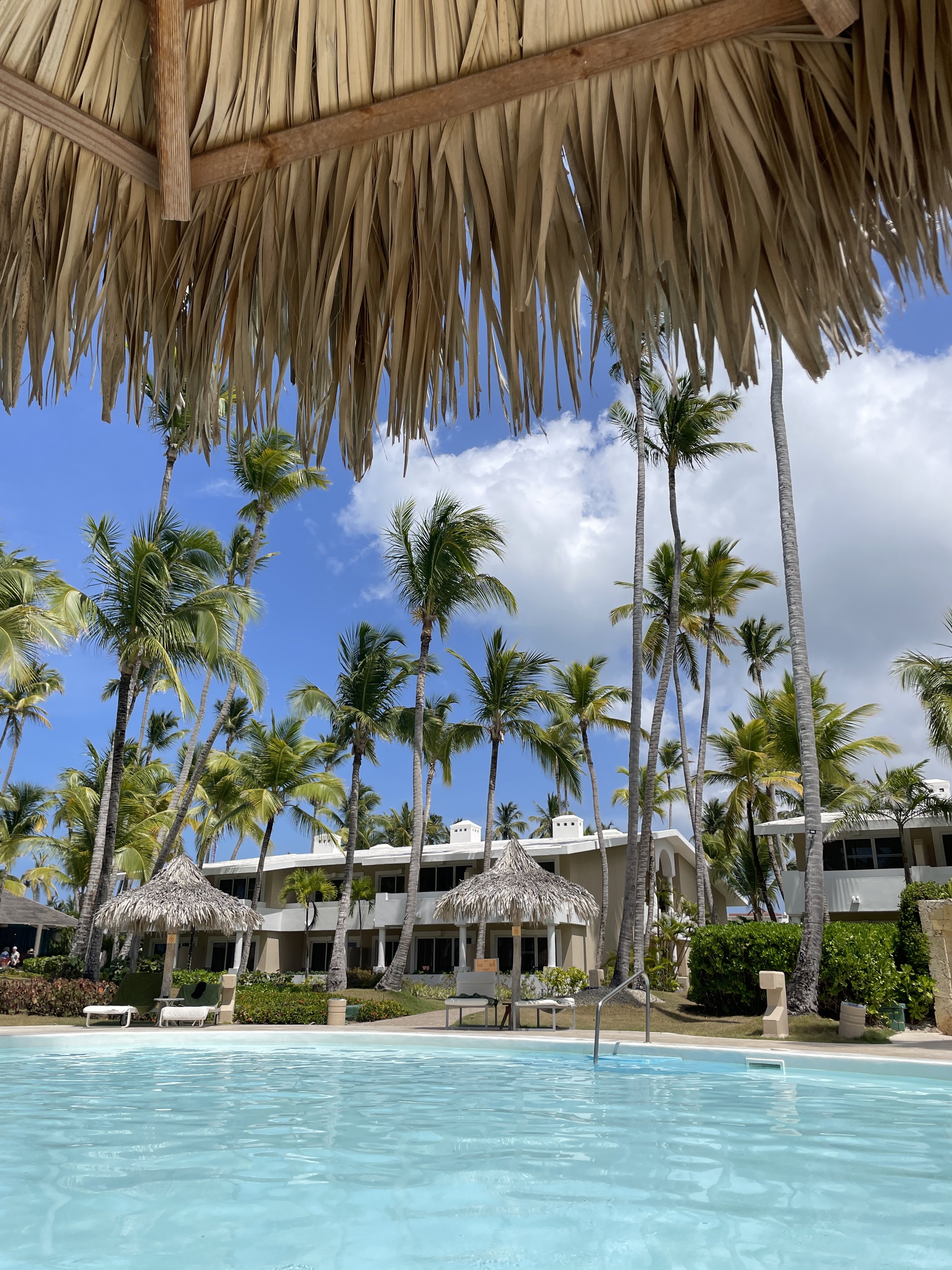 Meliá Punta Cana Beach Wellness Resort Pool Review