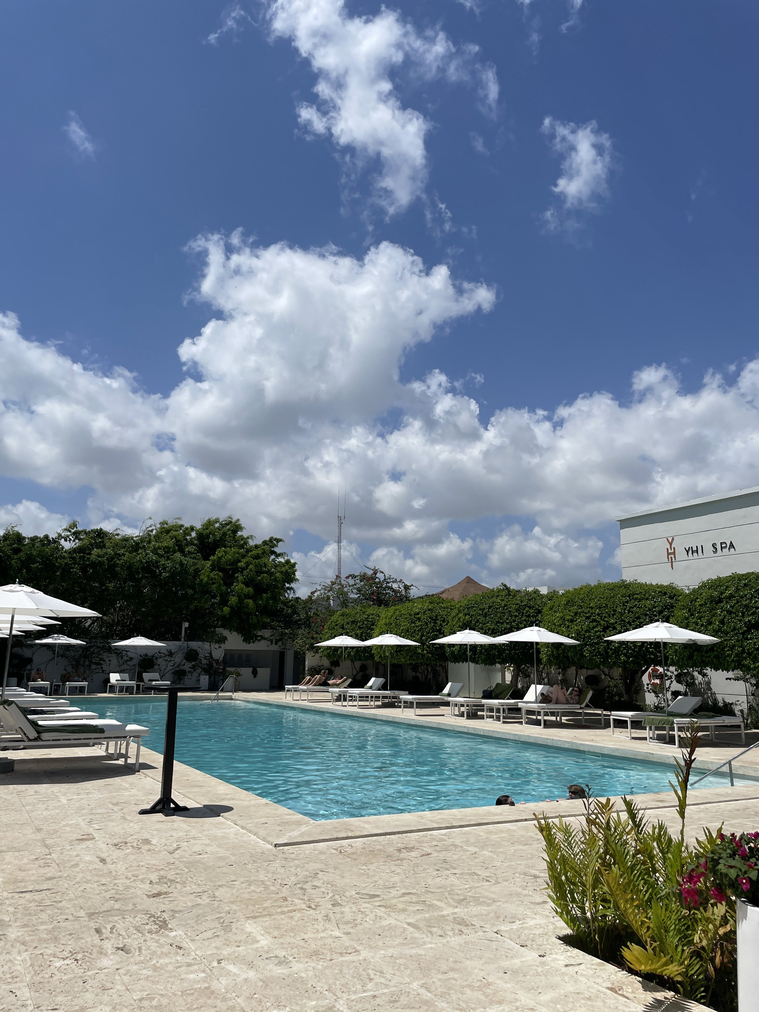 Meliá Punta Cana Beach Wellness Resort Pool Review