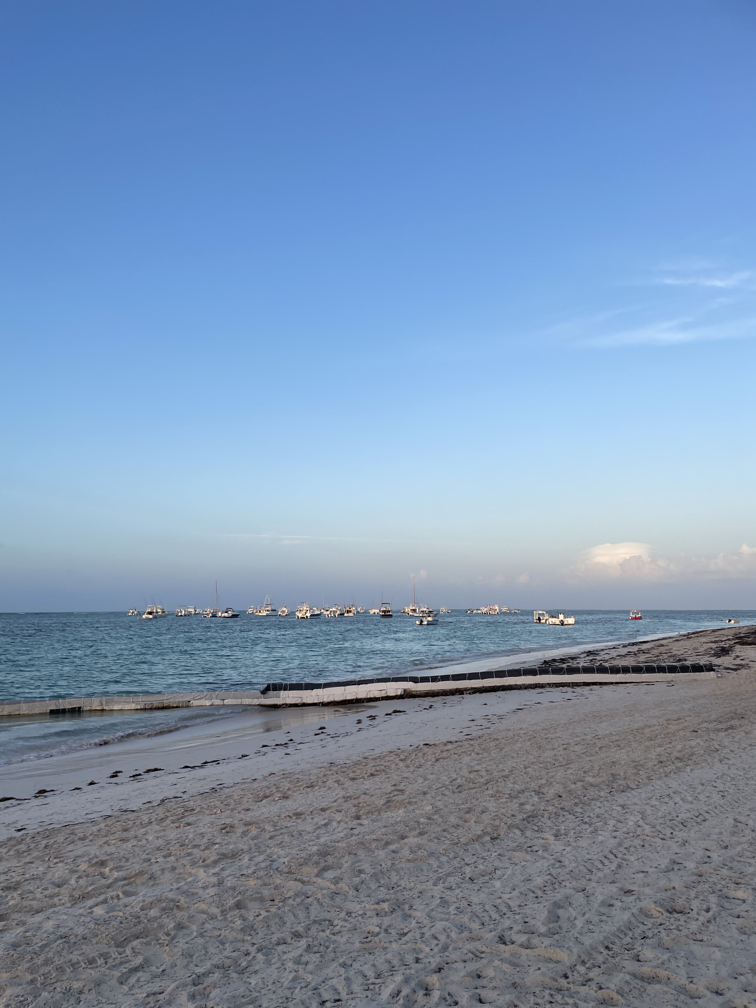 Meliá Punta Cana Beach Wellness Resort Beach Front Review
