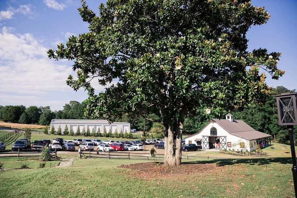 House_White Fallow Estate_14.jpg