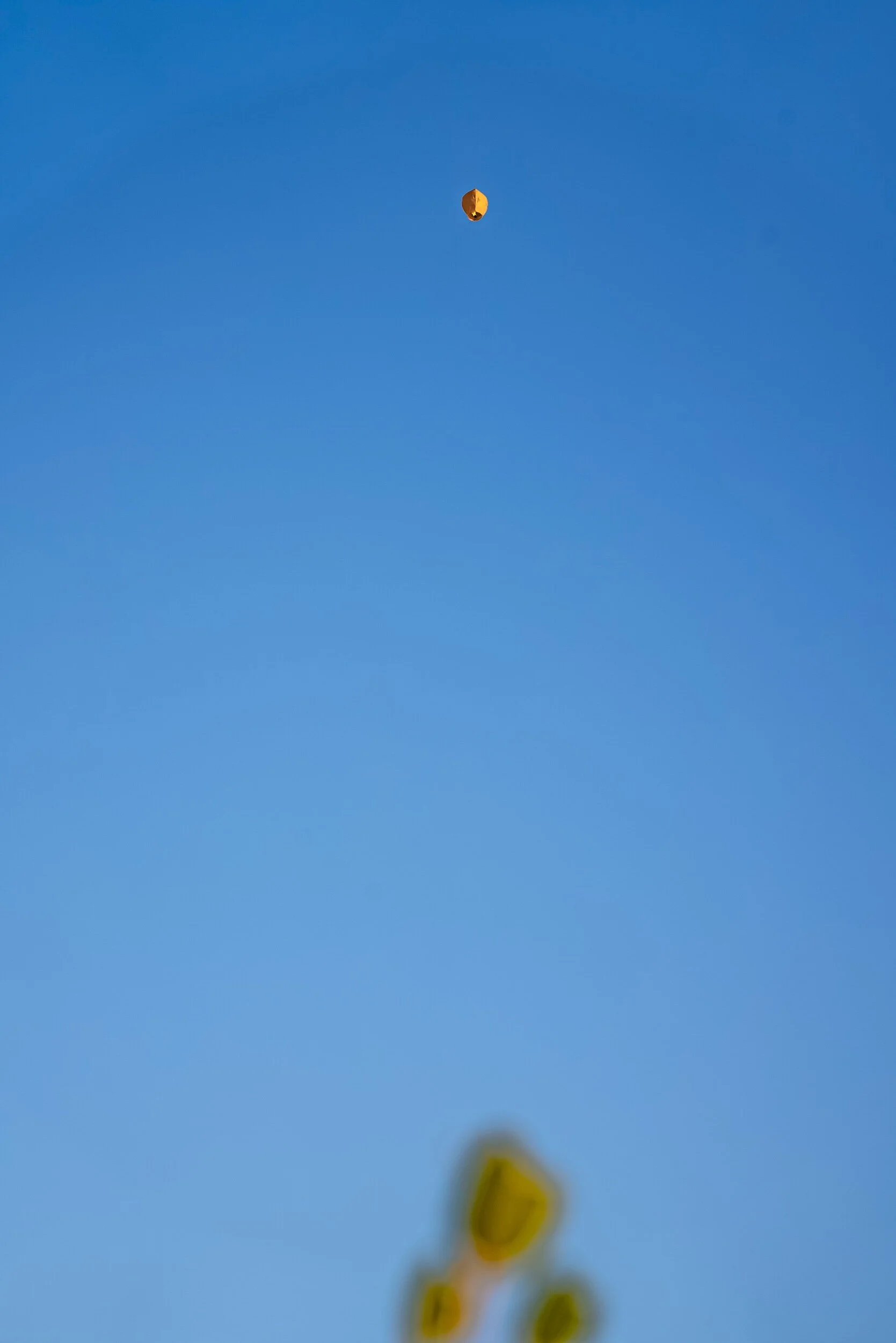 DSC00224.jpeg