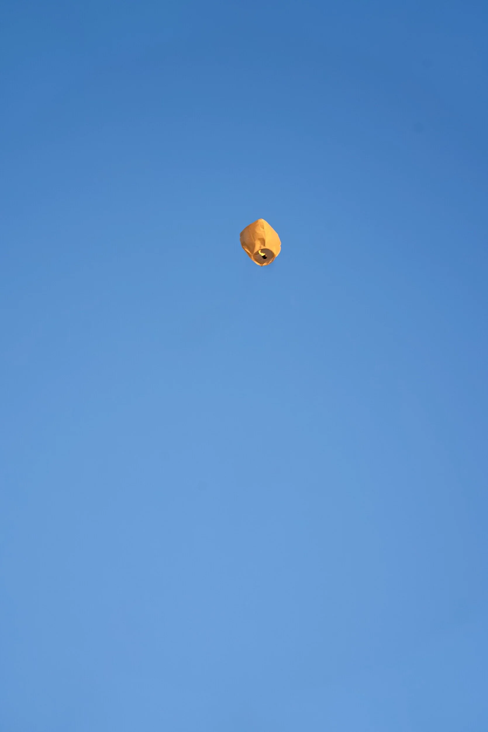 DSC00221.jpeg