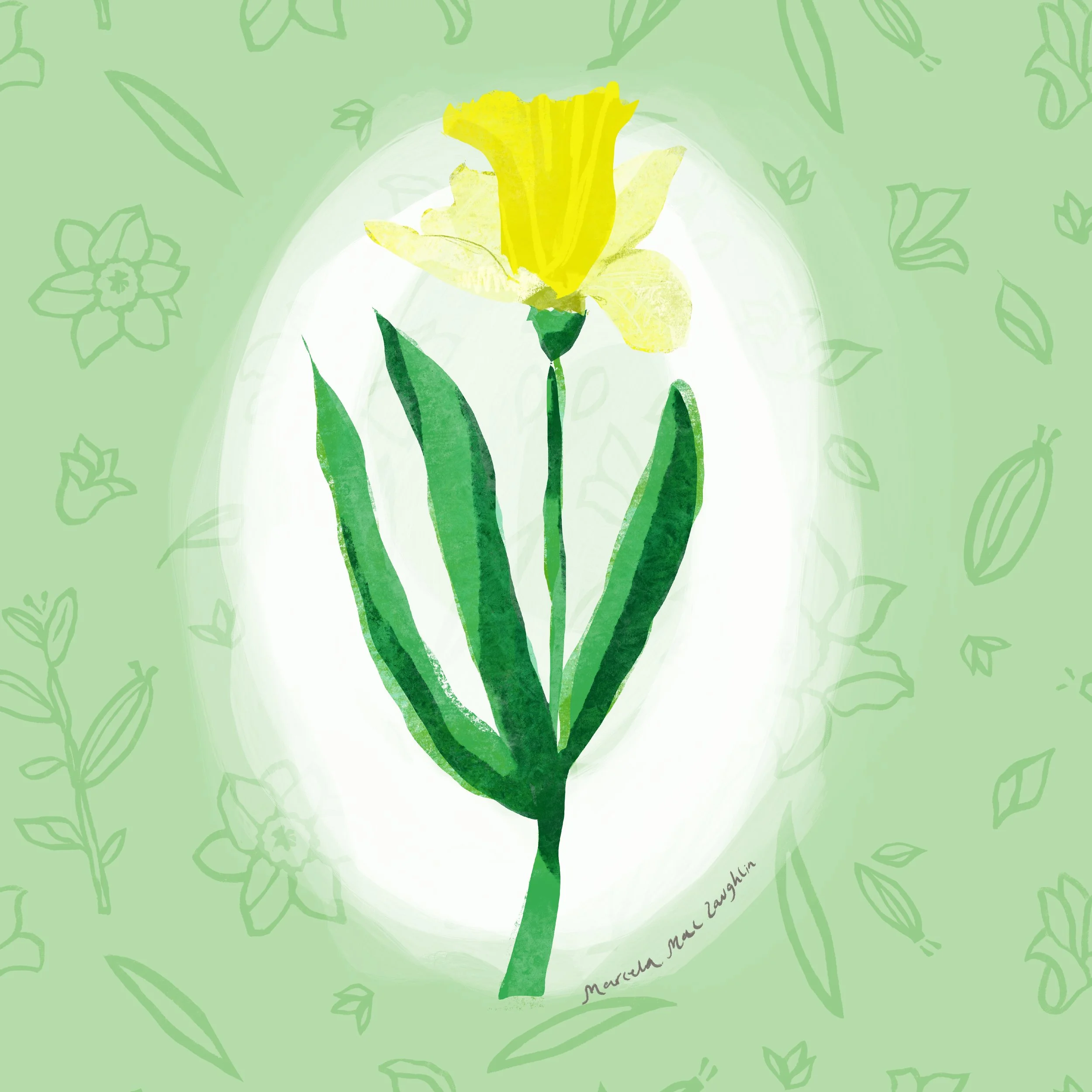 Daffodils.jpg