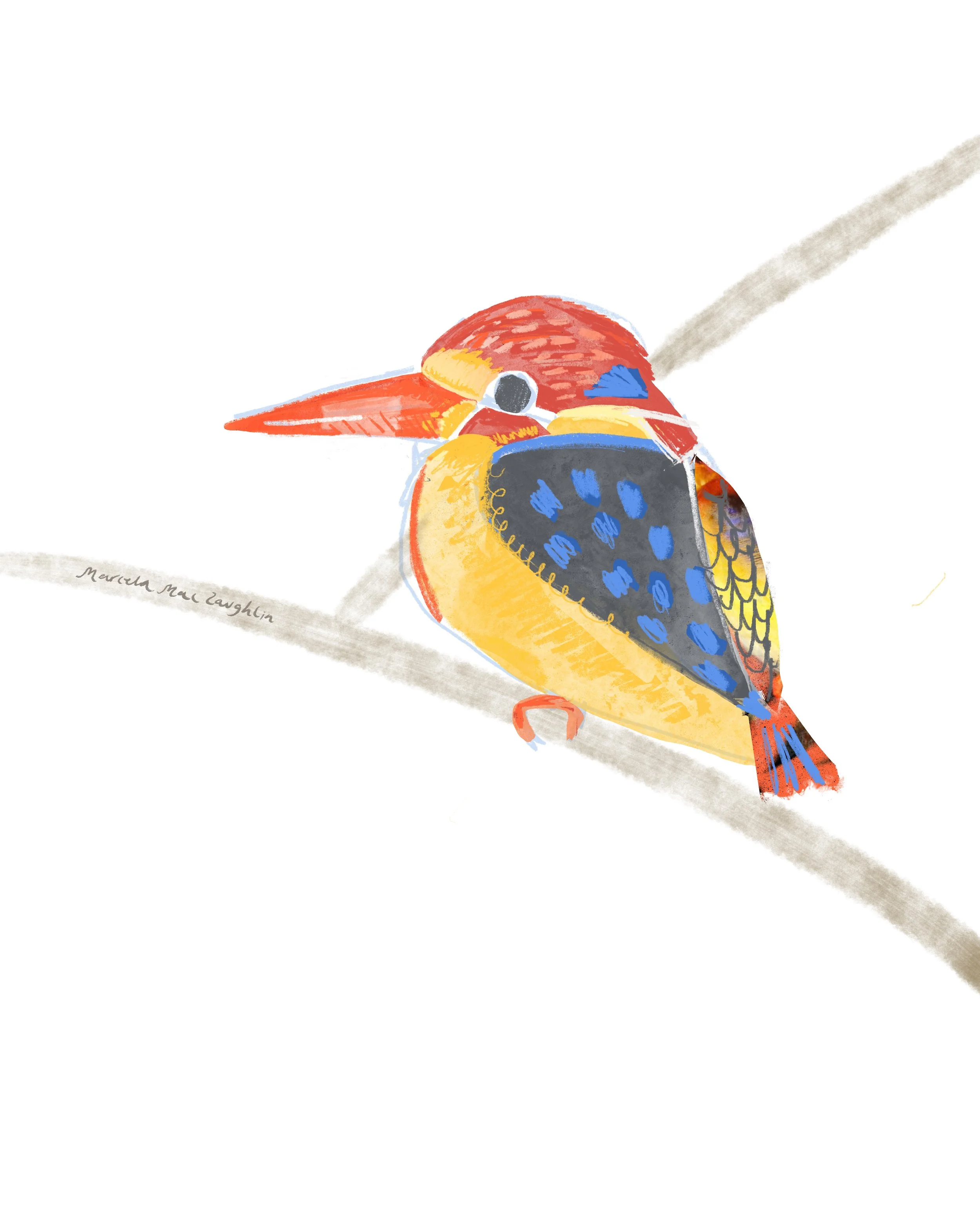 4 Martin_Pescador_Enano_.jpg