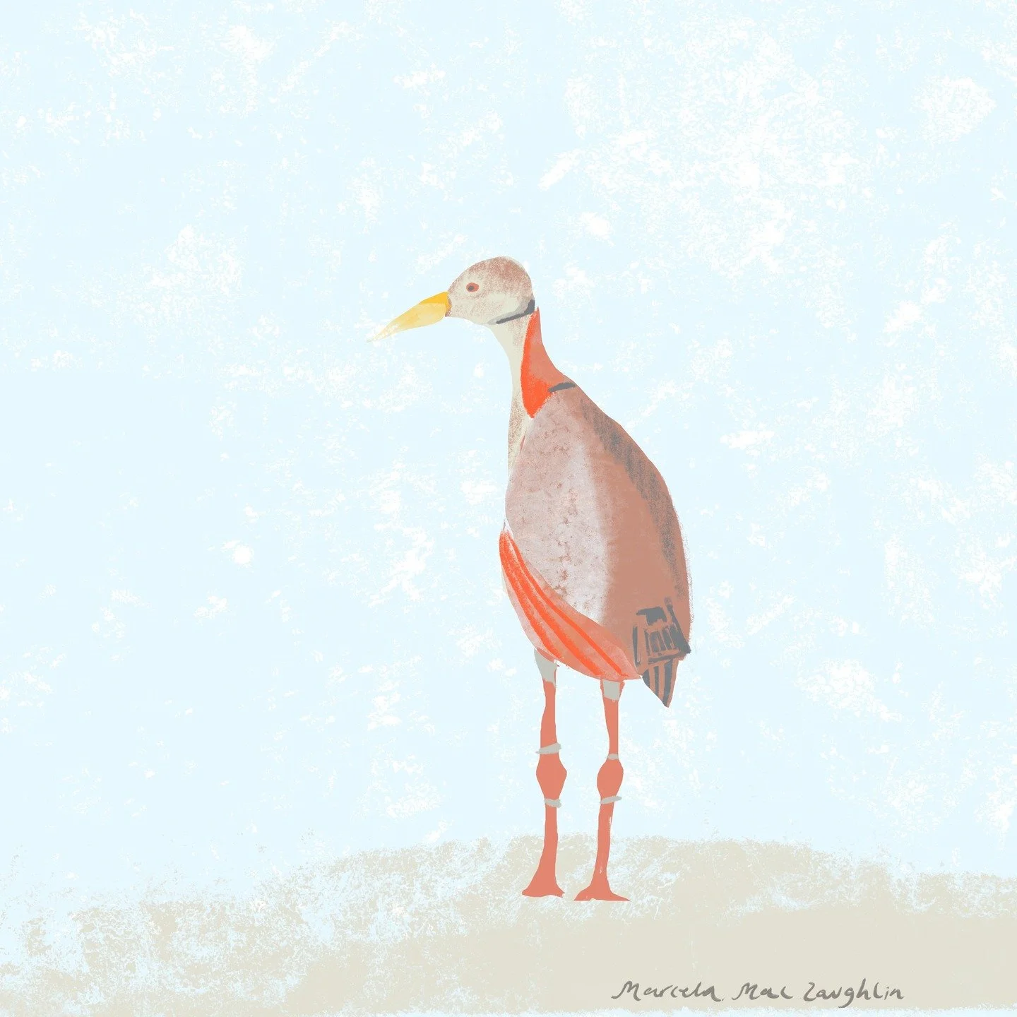 Dia de reflexion 💙 Paca&aacute; p&aacute;jaro de los Esteros del Iber&aacute;.

@marcemaclau

#pacaa #pajarosargentinos #pajaroso&ntilde;ador #pajaro #birdlife #planetbirds #esterosdeliber&aacute; #birds_nature #watercolor_daily #marcemaclau